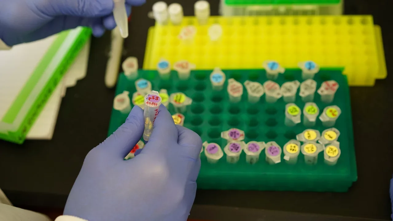 Photo of a lab member's hands working in the lab