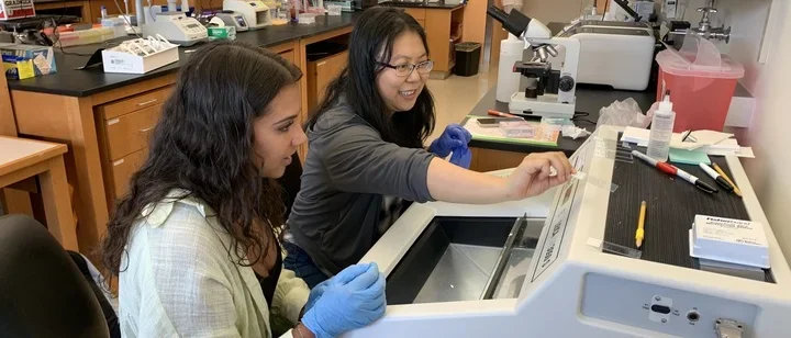 Two members working in the lab