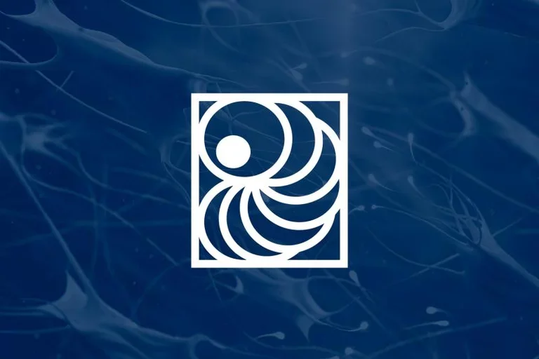 ISSCR logo