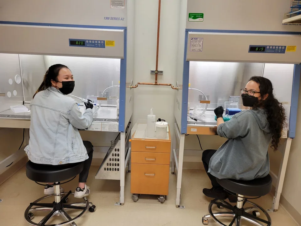 Two members working in the lab