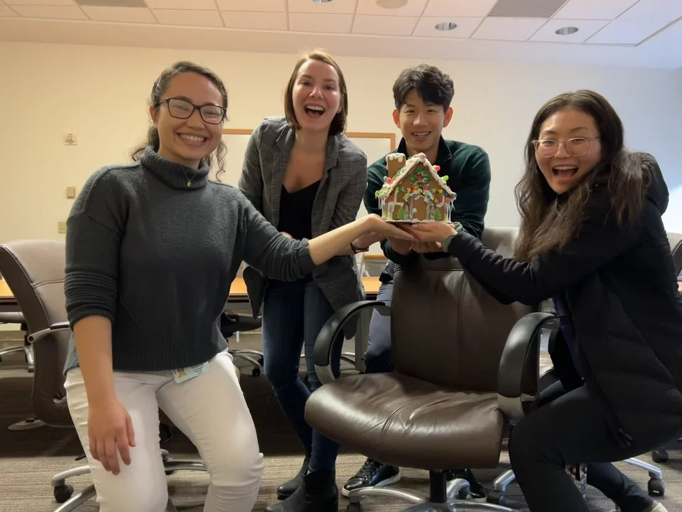 Lab gingerbread house decoration