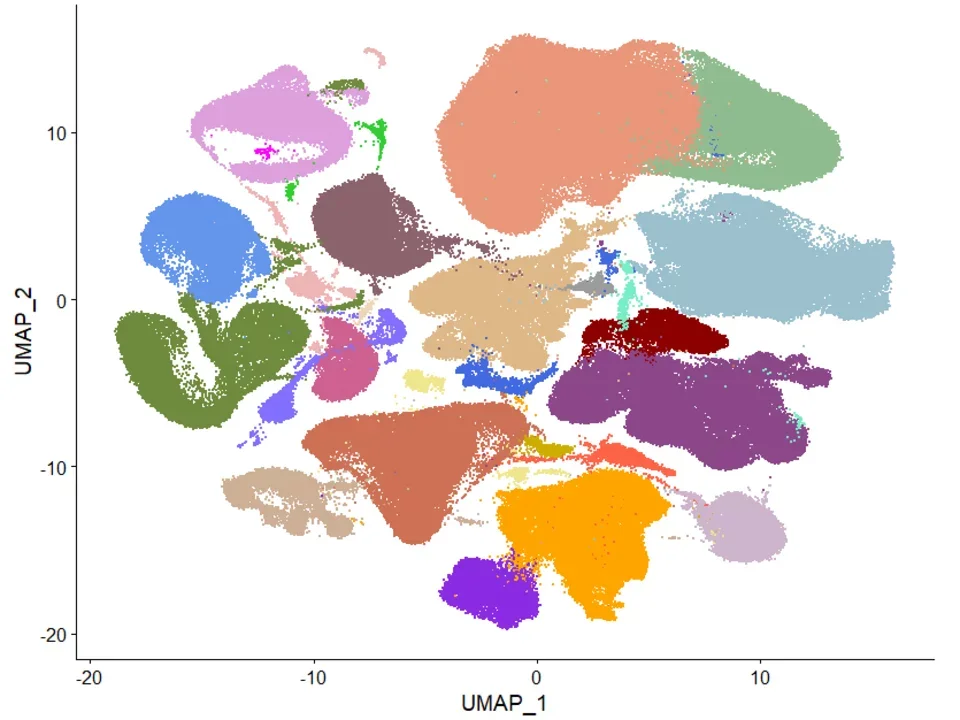 Cellular aging and epigenetic rejuvenation