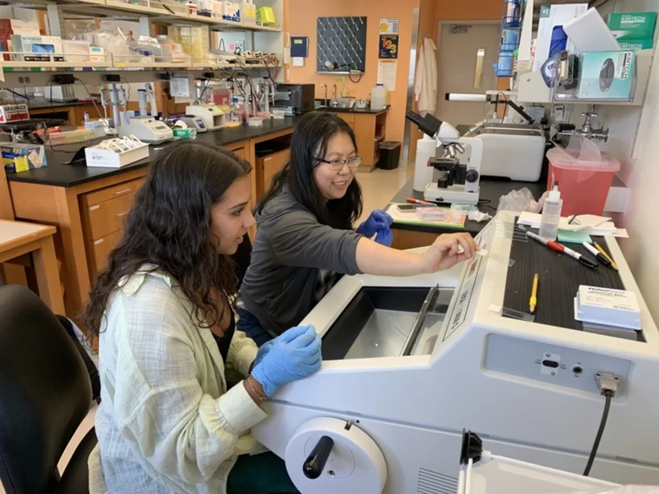 Two members working in the lab